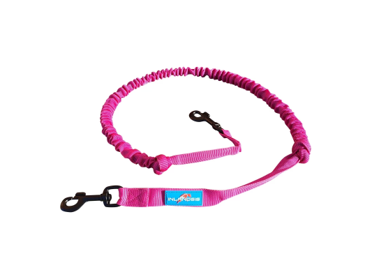 Laisse petit chien...