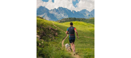 Aircross - Baudrier canicross performance