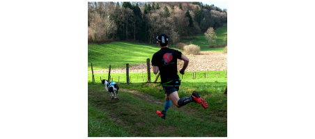 Aircross - Baudrier canicross performance