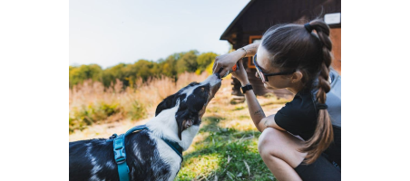 Gourde souple Softflask 500ml Non-Stop Dogwear