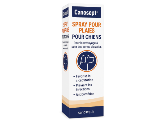 Spray blessure pour chiens...