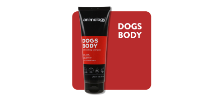 Shampoing pour chien Dogs Body 250 ml Animology
