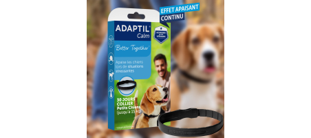 ADAPTIL® Calm S ou M