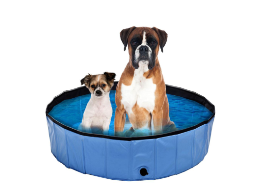 Piscine pour chien swisspet Planchi M blau Swisspet - Flash