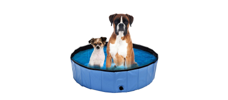 Piscine pour chien swisspet Planchi M blau Swisspet - Flash