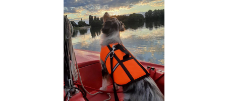 Gilet de sauvetage pour chien