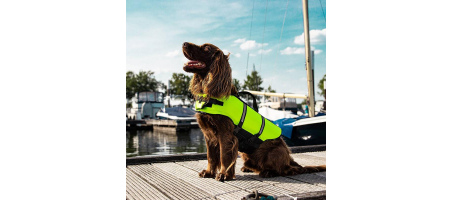 Gilet de sauvetage pour chien