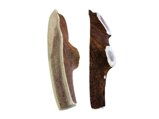 Bois de cerf S, M, L, XL,...