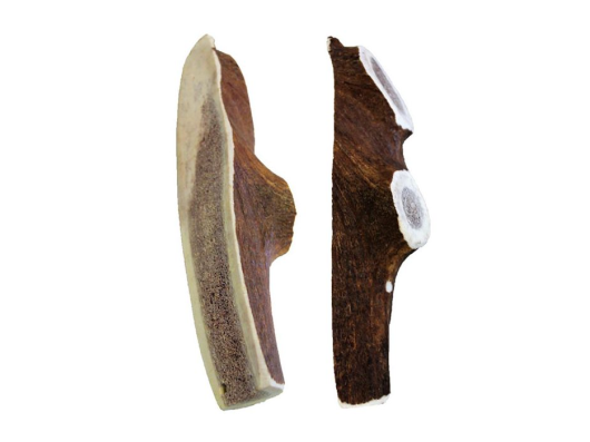 Bois de cerf S, M, L, XL, XXL kyli