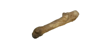 Jouet à mâcher de caféier S, M, L kyli