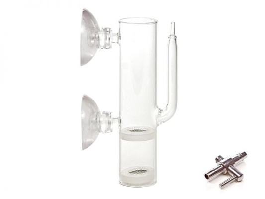 Egg Dancer, incubateur en...