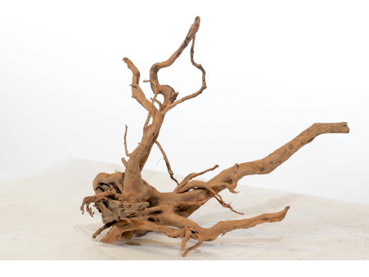 Racine de tourbière 0.8 -...