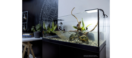 AQUATERRARIUM Aquael  S (60) 60x30x20.5cm / M (80) 80x35x30.5cm / L (100) 100x40x35.5cm