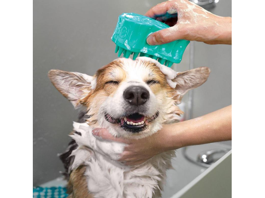 ZoomGroom Bubbles pour...