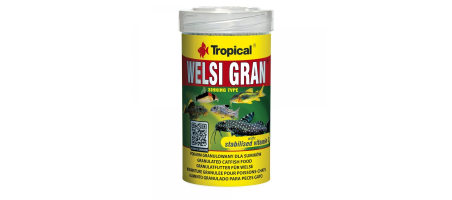 Welsi Gran poisson fond NOURRITURE Tropical