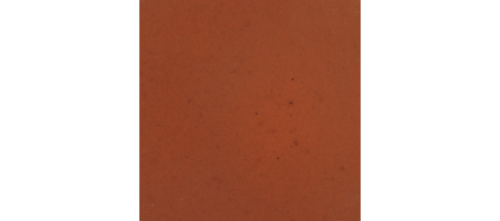 Gel Formule Carnivore (DIY - Gelée alimentaire à faire soi-même) nourriture pour poissons Tropical