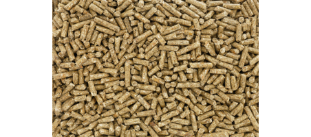 Granulés pour chinchilla, petit Schweizer