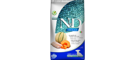 Can Puppy Mini cabillaud potiron melon Farmina N&D Ocean 800gr