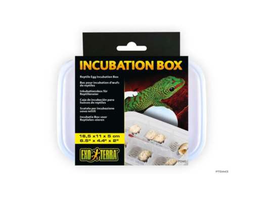 Exo Terra Boîte d’incubation incubateur pour reptiles