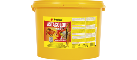 Astacolor Tropical
