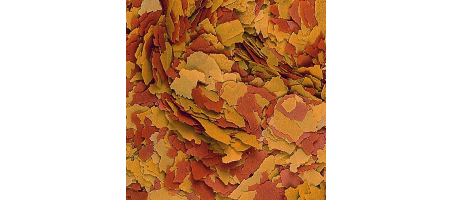 Vitality & Color Flakes Tropical