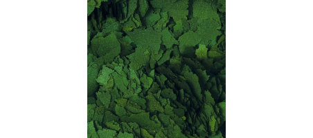 Super Spirulina Forte Flakes (flocons) Tropical