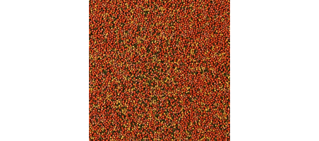 SUPERVIT Granulat Tropical