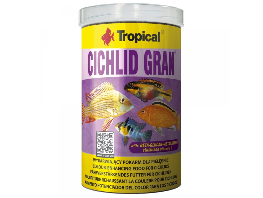 Cichlid Gran Tropical
