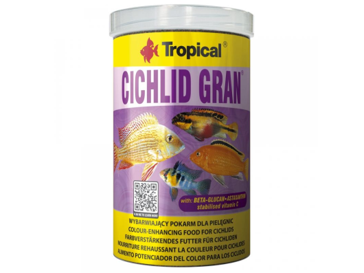 Cichlid Gran Tropical