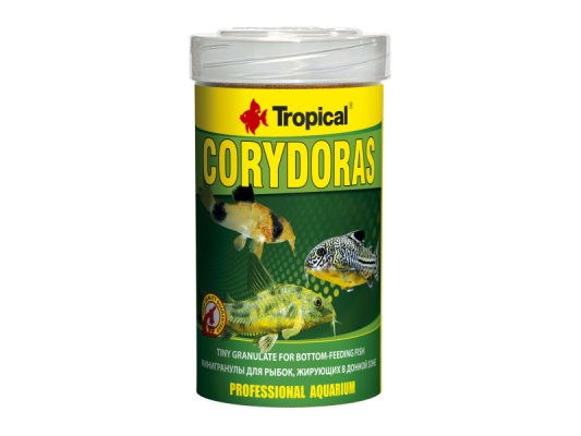 Corydoras Tropical