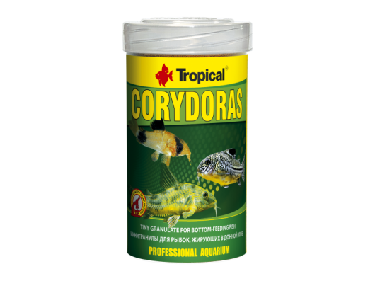 Corydoras Tropical