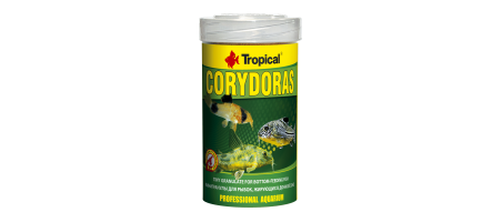 Corydoras Tropical