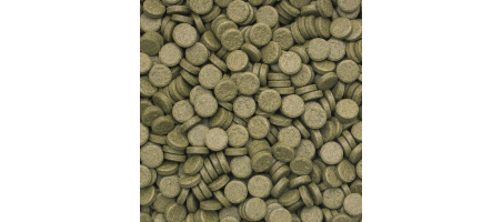 copy of 3-Algae Tablets A Tropical