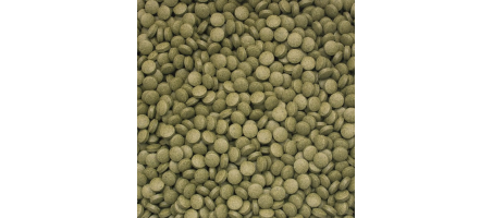 copy of 3-Algae Tablets B Tropical