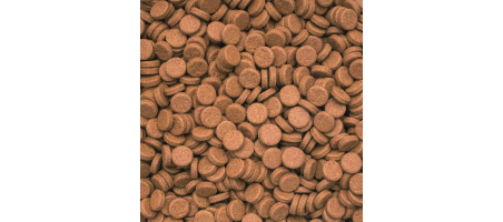 Vitality & Color Tablets Tropical