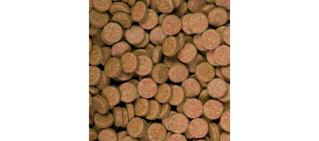 Supervit Tablets A 2kg Tropical