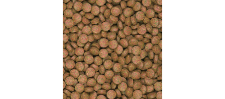 copy of Supervit Tablets B 500ml - 250ml Tropical