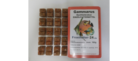 Gammarus en blister 100gr Congelées Aquariophilie