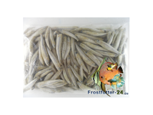 Éperlan sachet de 100gr 5-7 cm Congelées Aquariophilie