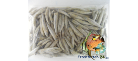 Éperlan sachet de 100gr 5-7 cm Congelées Aquariophilie