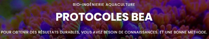 Protocole BEA – Une gestion naturelle et maîtrisée de votre aquarium