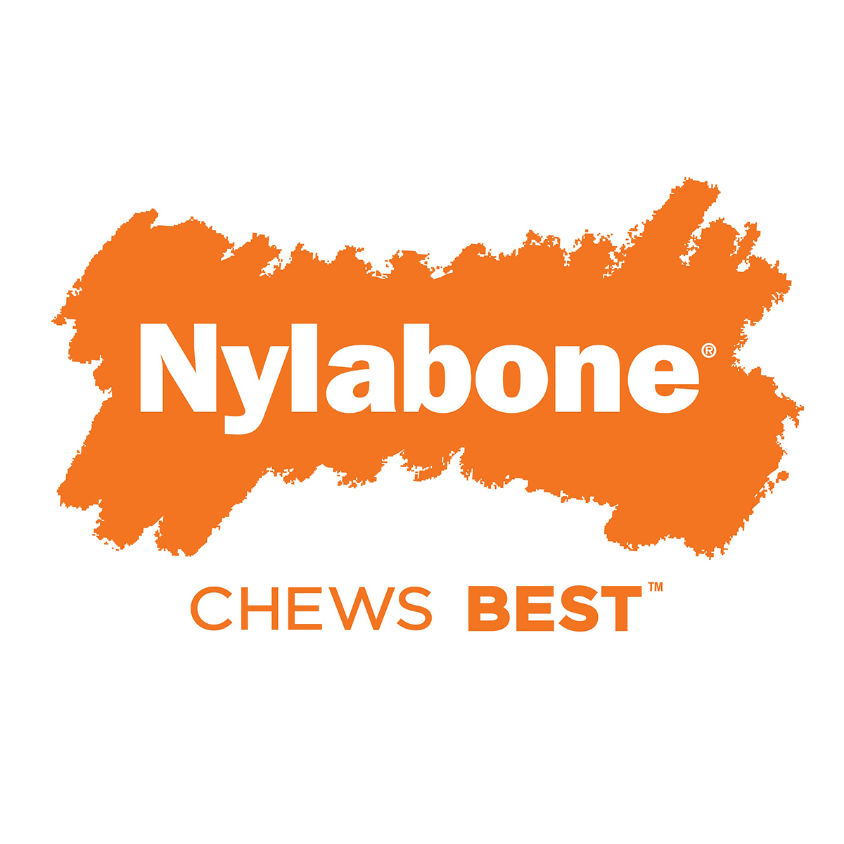 Nylabone