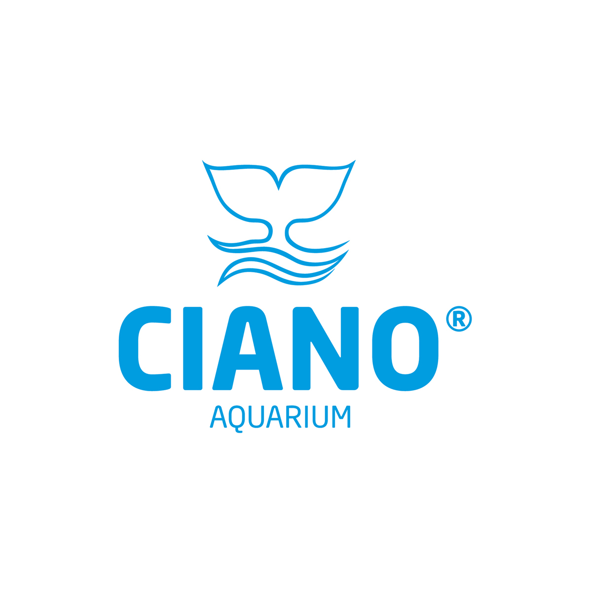 Ciano Aqua