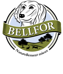 Bellefort