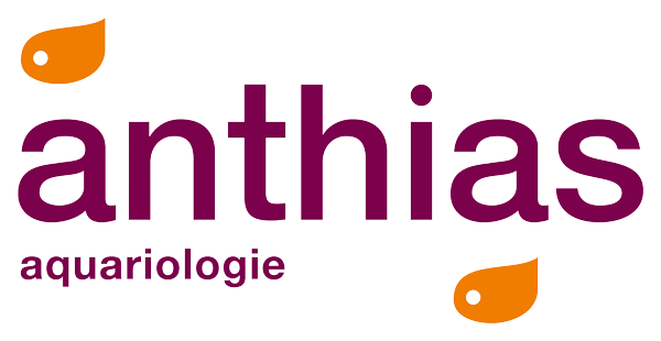 Anthias
