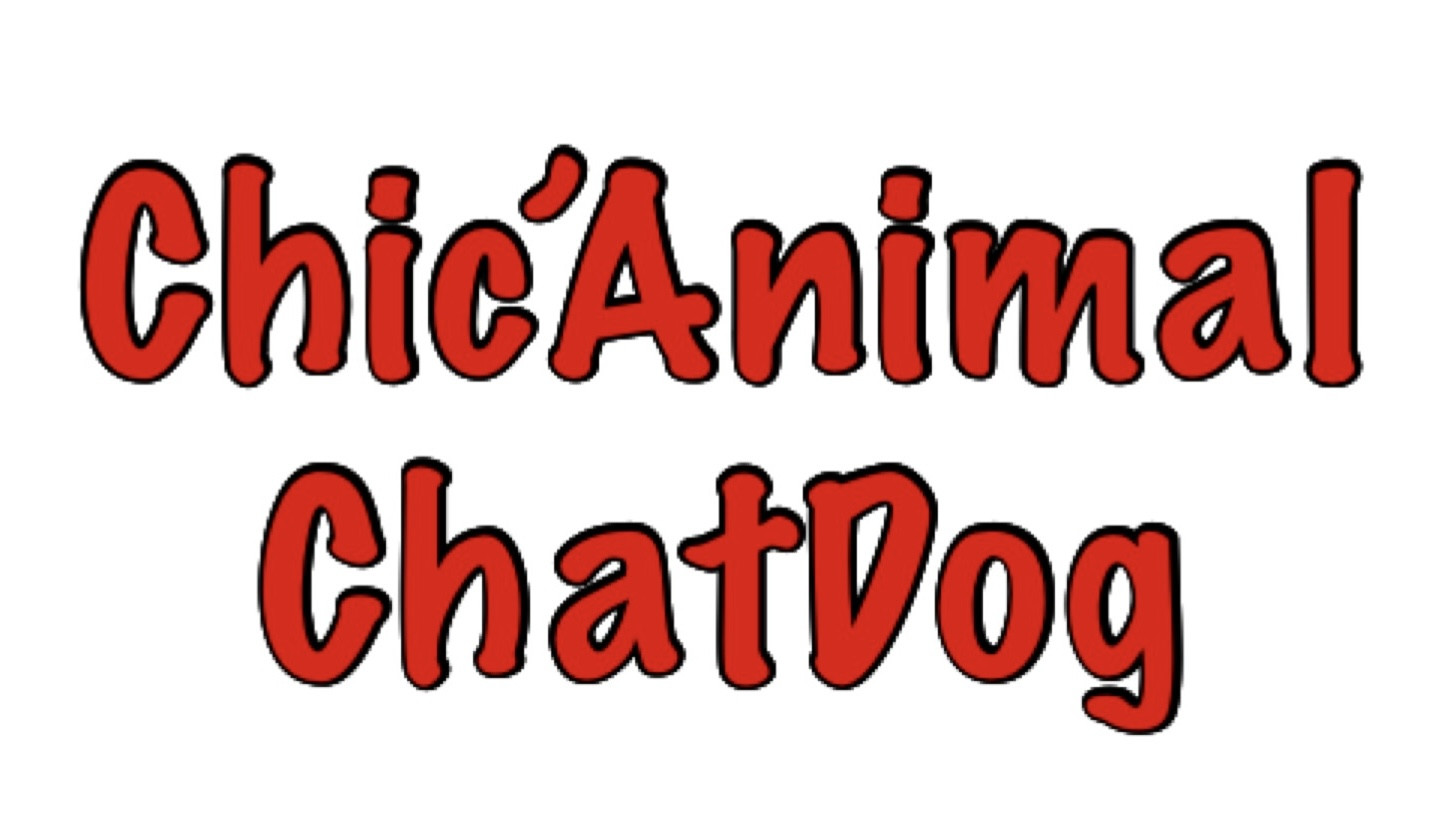 Chatdog / Chic'Animal