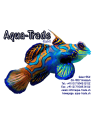 Aqua-Trade.ch
